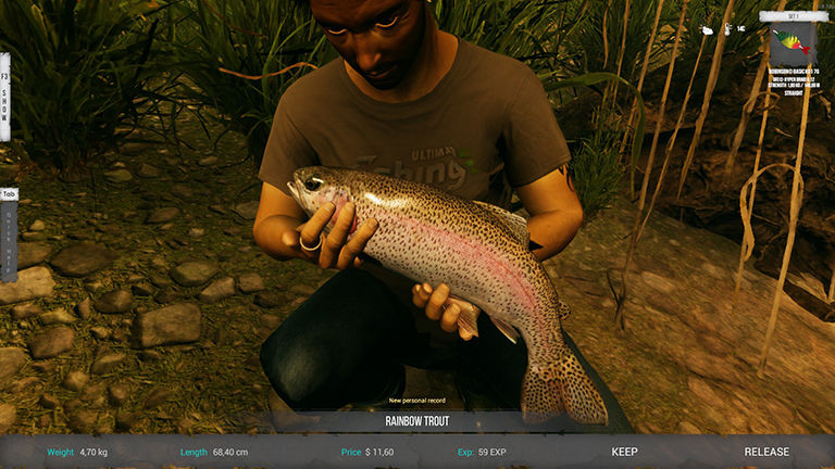 Ultimate Fishing Simulator 2 уровня системы