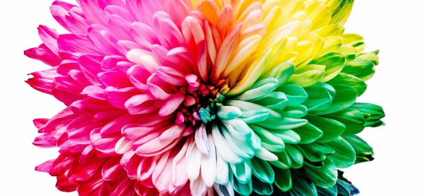 Цветные головоломки терапия цветом и формами 6 tsvetnye golovolomki terapiya tsvetom i formami