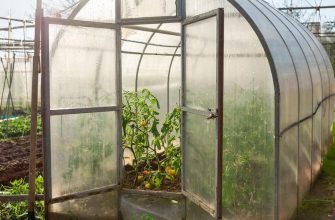 Садовые Теплицы из Поликарбоната: Ваш Путь к Обильному Урожаю