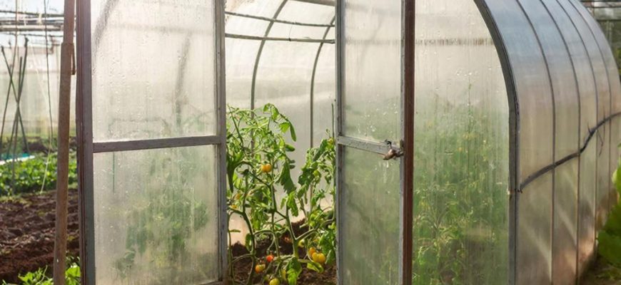 Садовые Теплицы из Поликарбоната: Ваш Путь к Обильному Урожаю